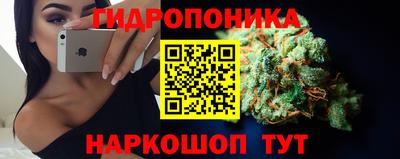 индика Пыть-Ях