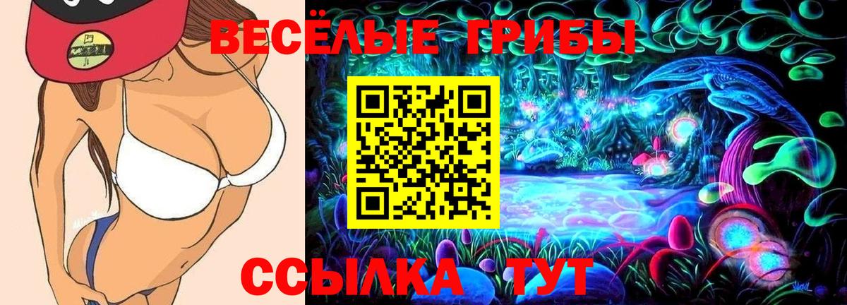 Псилоцибиновые грибы мухоморы Рославль